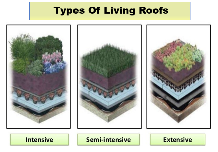 Types of living roofs