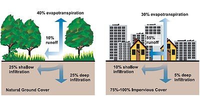 stormwater management