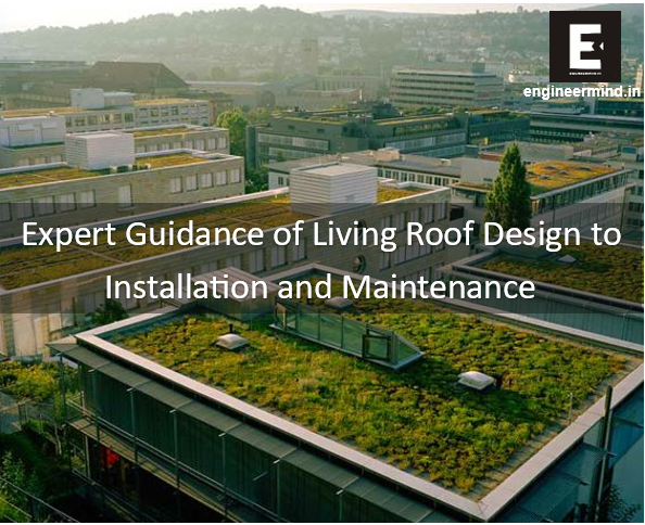 Living roof design