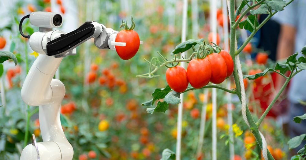How Robots Are Used in Agriculture